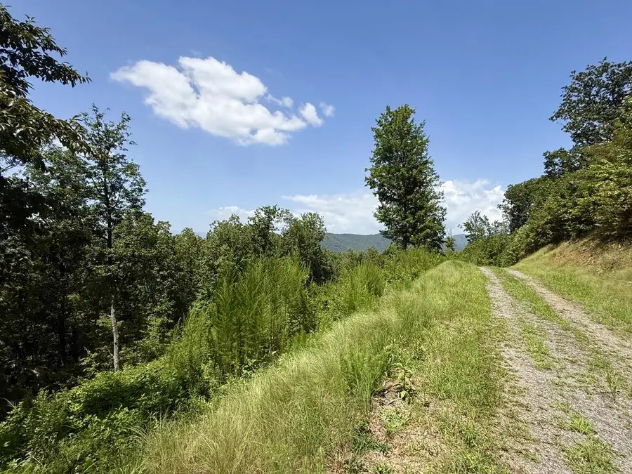 Lot 31 Grand Laurel, Brasstown, NC 28902 - #2