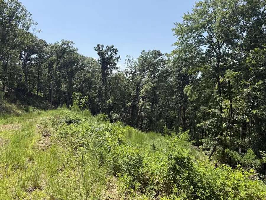 Lot 31 Grand Laurel, Brasstown, NC 28902 - #3