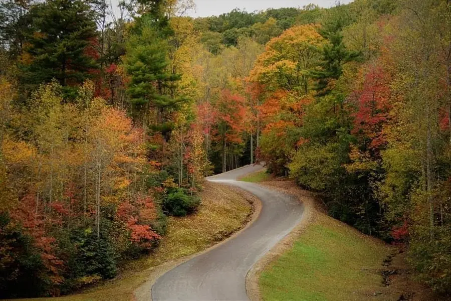 Lot 26 Grand Laurel, Brasstown, NC 28902 - #2