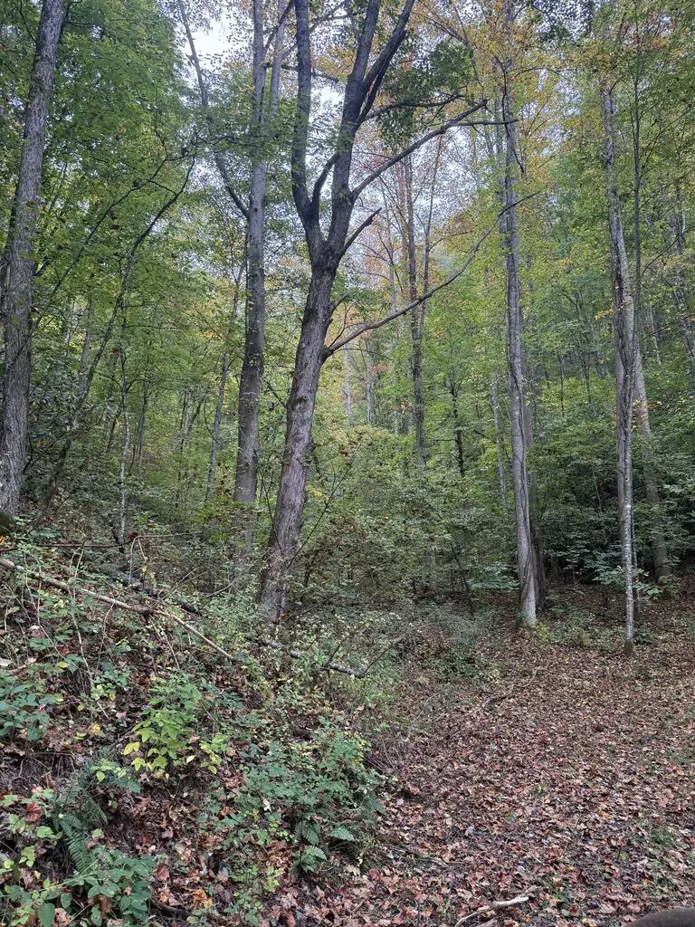 00 Hwy 19/74, Topton, NC 28781 - #3