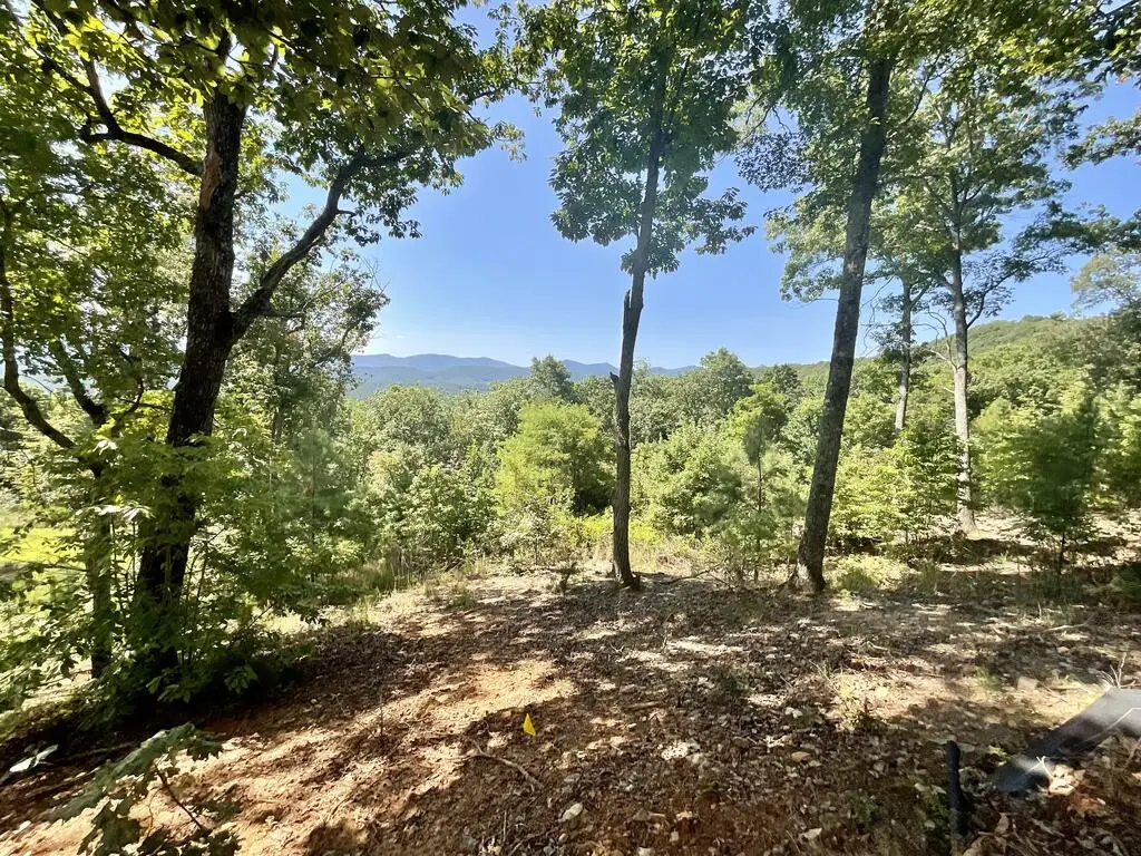Lot 129 Winding Ridge, Blairsville, GA 30512 - #1