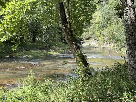 331 Rushing River Road, Talking Rock, GA 30175 - #2
