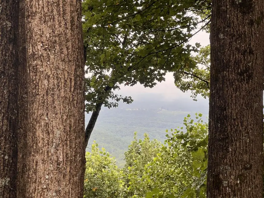 Lot 25 Walnut Ridge, Ellijay, GA 30536 - #2