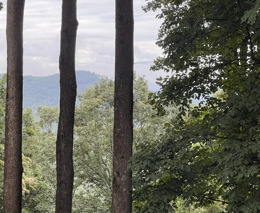 Lot 25 Walnut Ridge, Ellijay, GA 30536 - #3