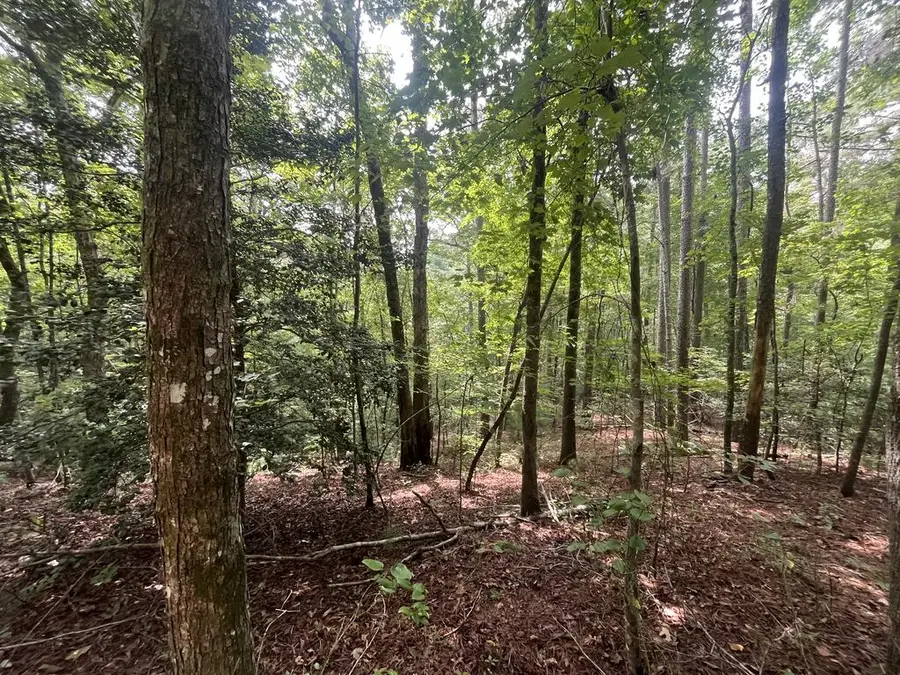 Lt 666 NW Nugget Court, Ellijay, GA 30540 - #2