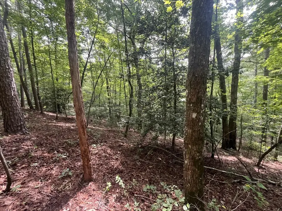 Lt 666 NW Nugget Court, Ellijay, GA 30540 - #3