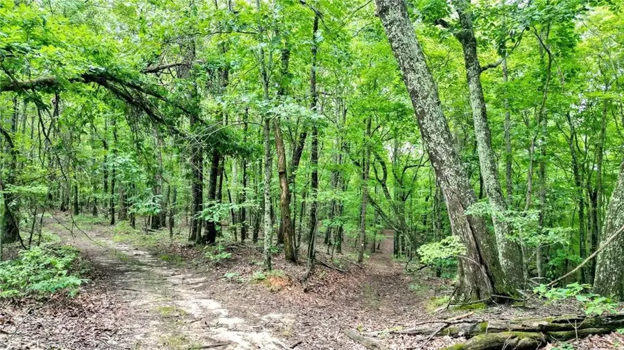 Trt A Cascade Drive, Jasper, GA 30143 - #3