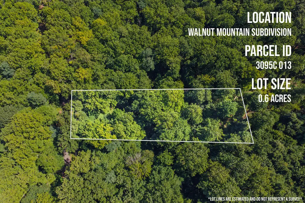 H-91 Mountain Oak Road, Ellijay, GA 30536 - #1