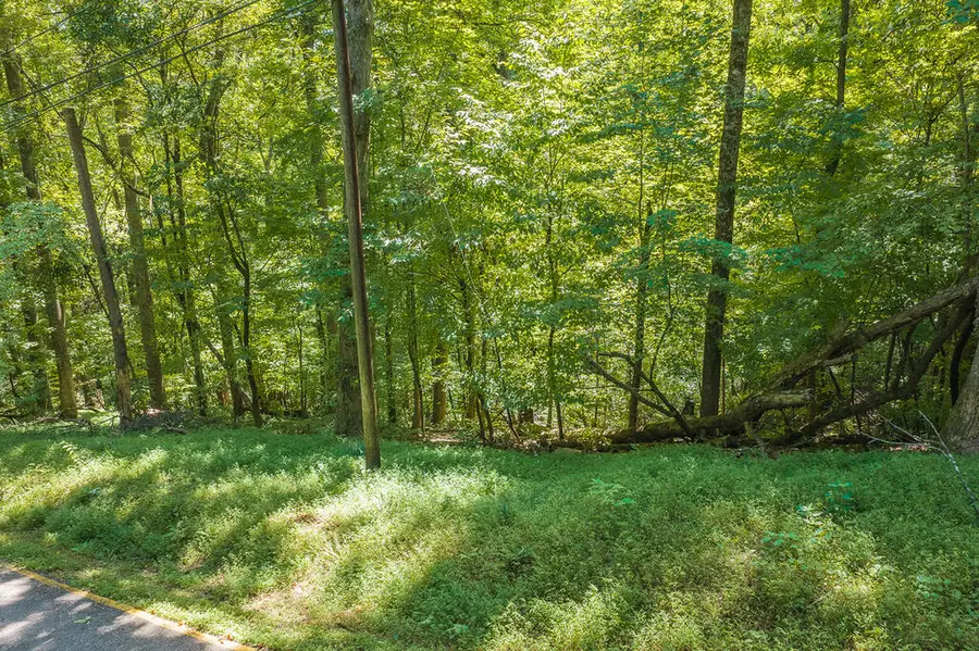 H-91 Mountain Oak Road, Ellijay, GA 30536 - #3