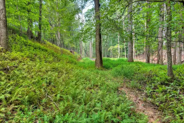 00 River Way, Blue Ridge, GA 30513