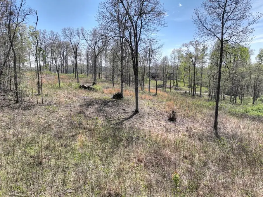 6 Arbor Creek Trail, Mineral Bluff, GA 30559 - #3