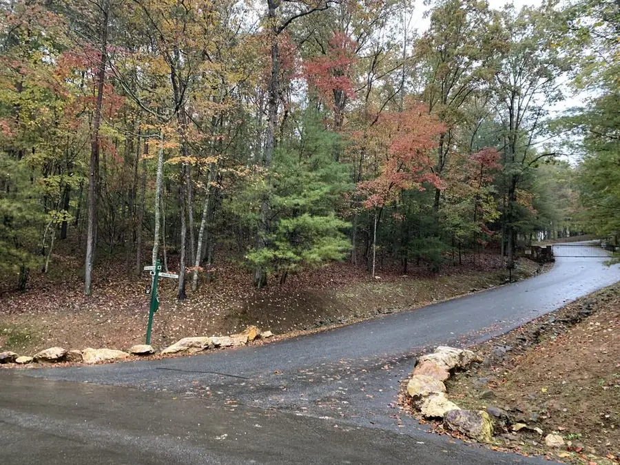 9 Dover Falls Trail, Ellijay, GA 30540 - #2