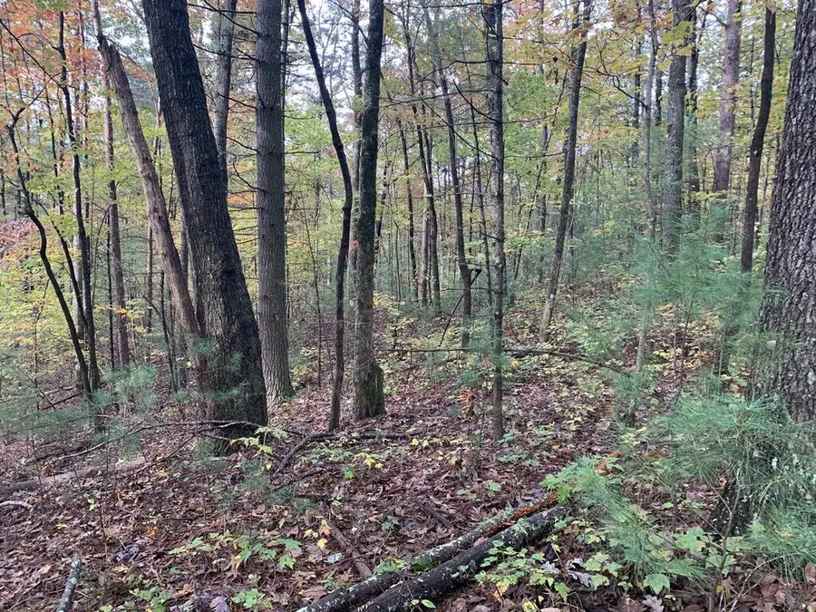 9 Dover Falls Trail, Ellijay, GA 30540 - #3
