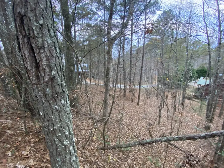 4AC Scenic Way, Ellijay, GA 30540 - #2
