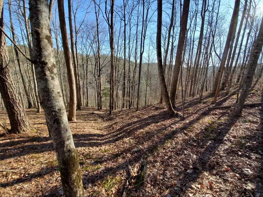 4AC Scenic Way, Ellijay, GA 30540 - #3