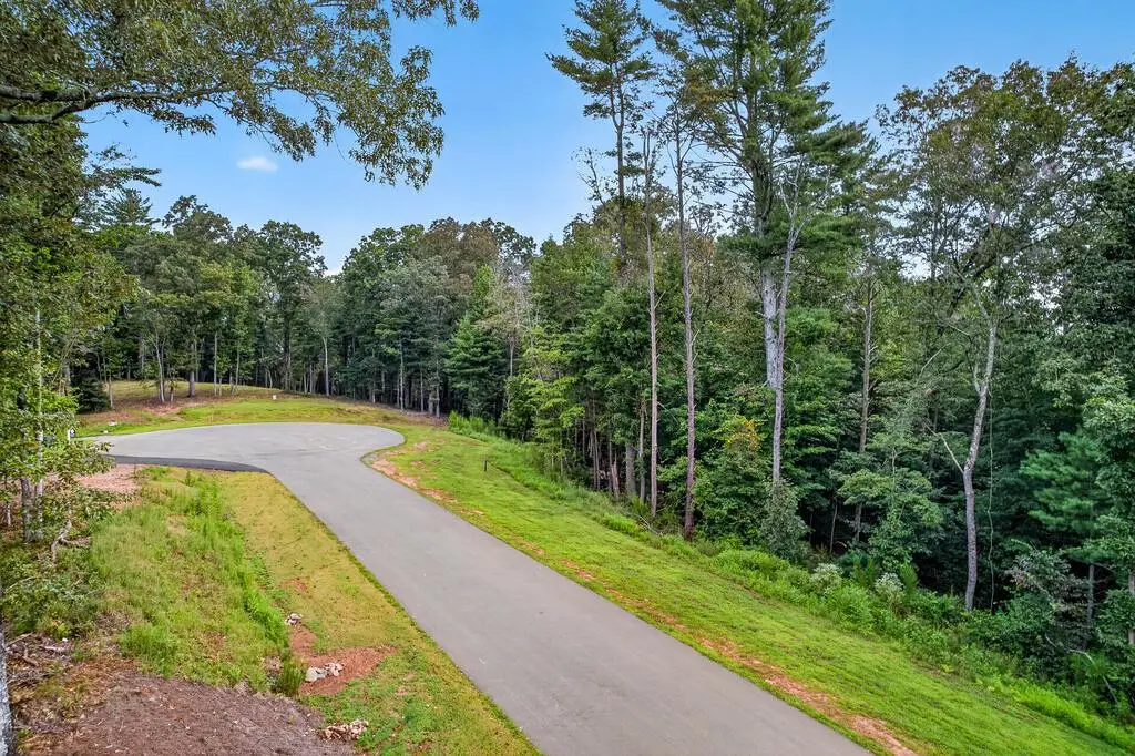 Lot 14 Clear Creek Preserve Way, Ellijay, GA 30536 - #1