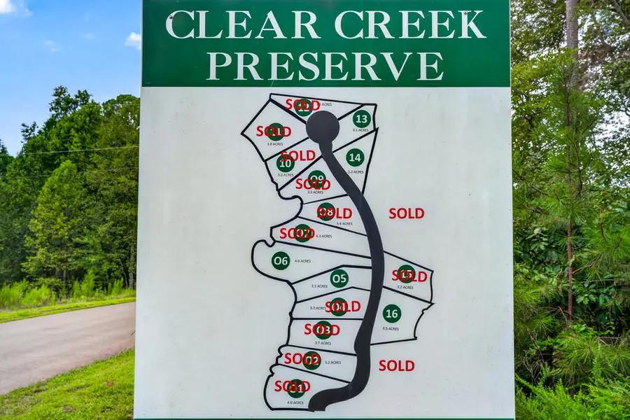 Lot 14 Clear Creek Preserve Way, Ellijay, GA 30536 - #3