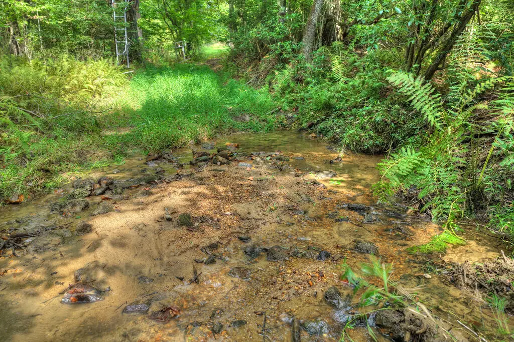 4.70 ac Chestnut Gap Lane, Blue Ridge, GA 30513 - #1