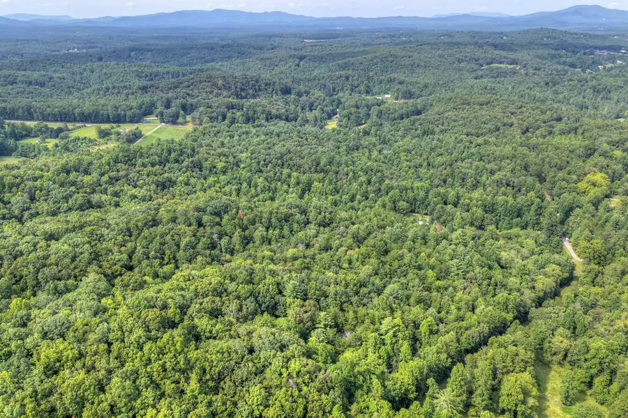 4.70 ac Chestnut Gap Lane, Blue Ridge, GA 30513 - #3