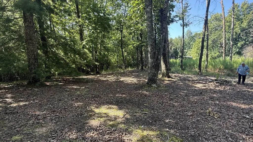 259 Spring Hills Lane, Blairsville, GA 30512 - #1