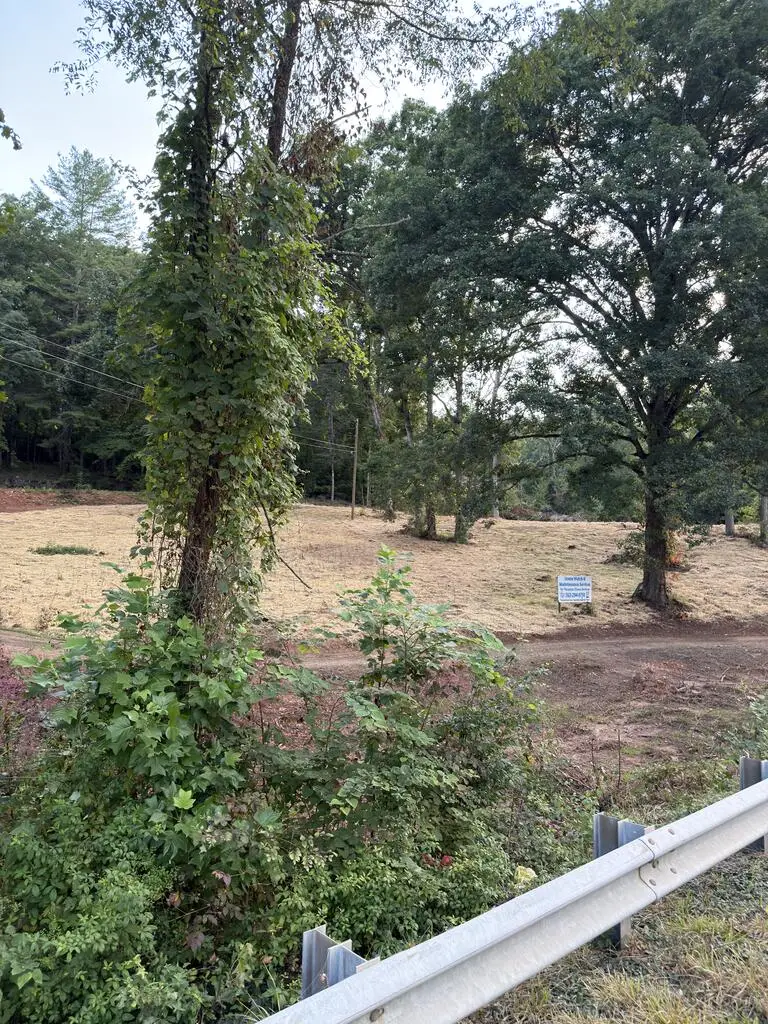 2342 Us Hwy 76 W, Hiawassee, GA 30546 - #3