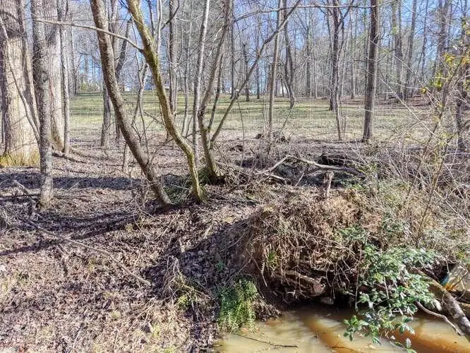 Lot 6, 7 Duncan Mill, Blairsville, GA 30512 - #2