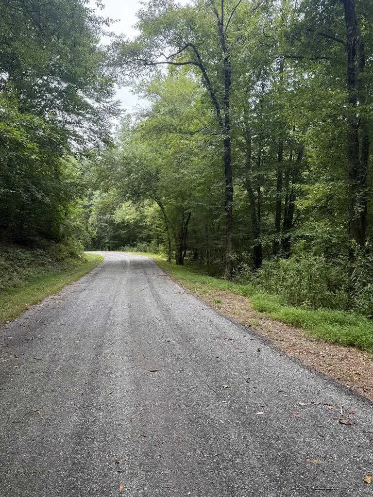 00 Henson Road, Hayesville, NC 28904 - #1