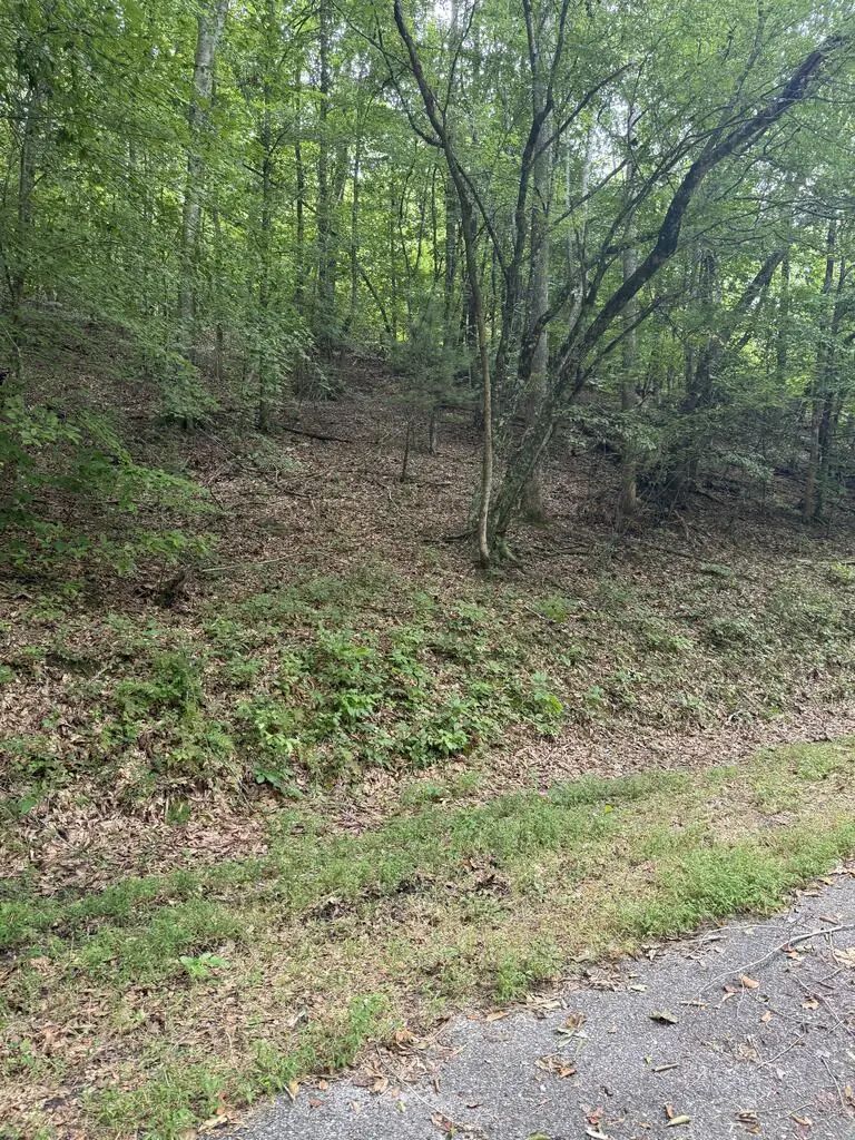 00 Henson Road, Hayesville, NC 28904 - #2