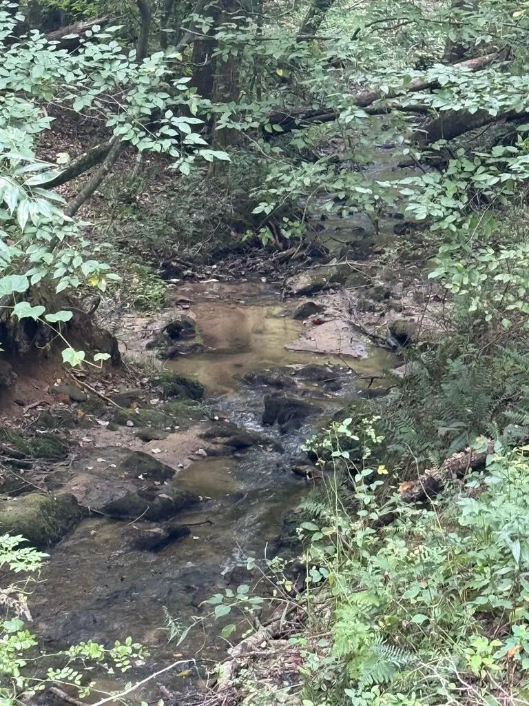 00 Henson Road, Hayesville, NC 28904 - #3