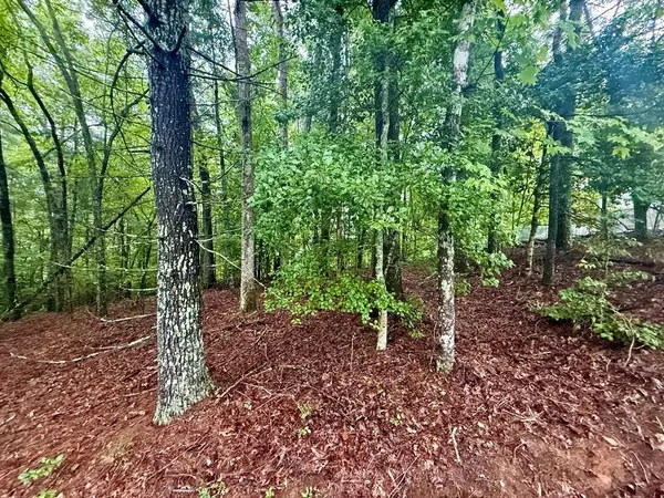 Lot 15 White Pine Ridge, Hayesville, NC 28904
