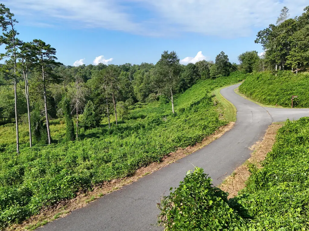 Lot 30 Arbor Creek Trail, Mineral Bluff, GA 30559 - #1