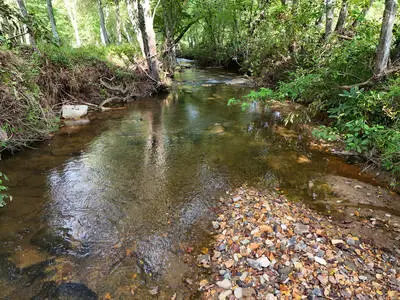 Lot 31 Arbor Creek Trail, Mineral Bluff, GA 30559 - #2