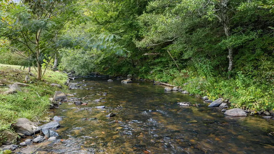 235 West Conasauga Creek, Ellijay, GA 30540 - #2