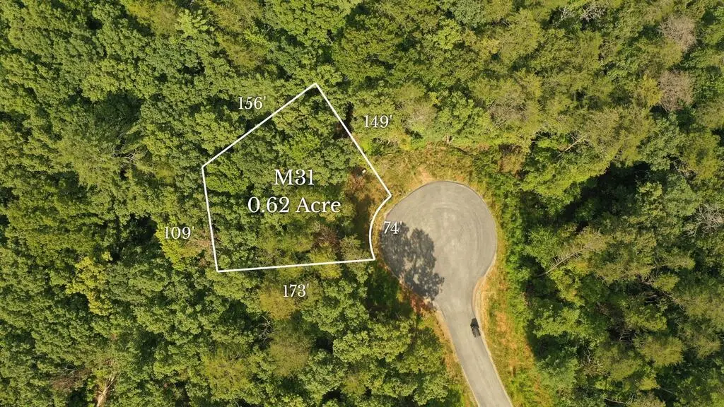 M31 Pine Valley Road, Mineral Bluff, GA 30559 - #1