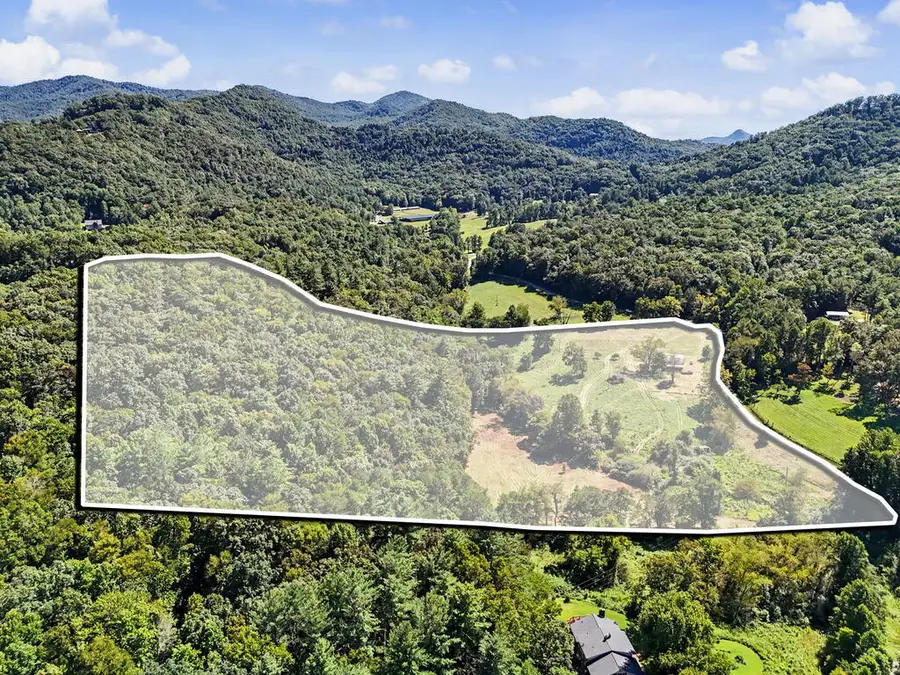 323 Burch Cove Road, Hayesville, NC 28904 - #2