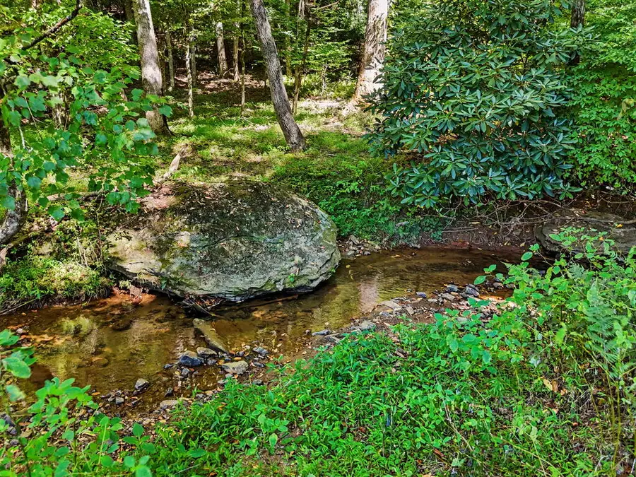 323 Burch Cove Road, Hayesville, NC 28904 - #3