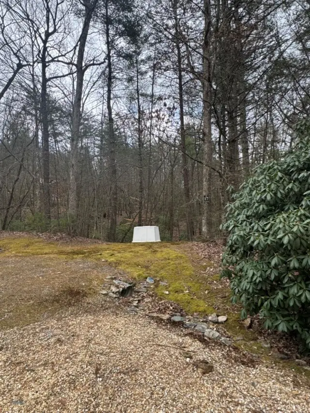 16R Leatherwood Mountain Road, Cherry Log, GA 30522 - #3