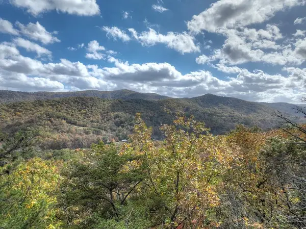23.26 Ac Weaver Creek Road, Blue Ridge, GA 30513