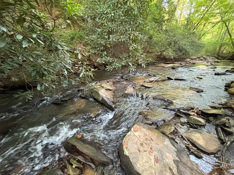 Lots1920 Mt. Springer Road, Ellijay, GA 30540 - #3