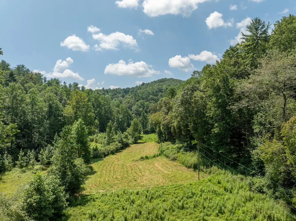 14.97AC Wolf Pen Gap Road, Ellijay, GA 30540 - #1