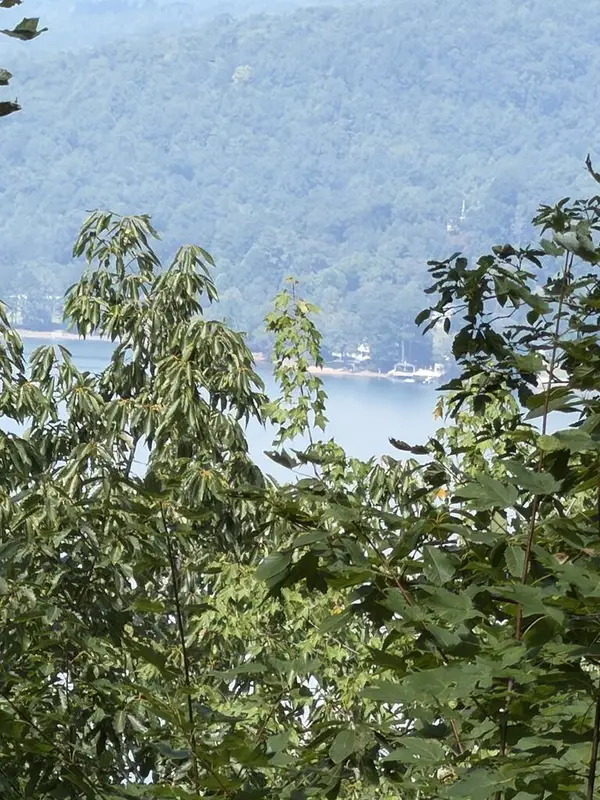 Lot 55 Eagles View Road, Hayesville, NC 28904