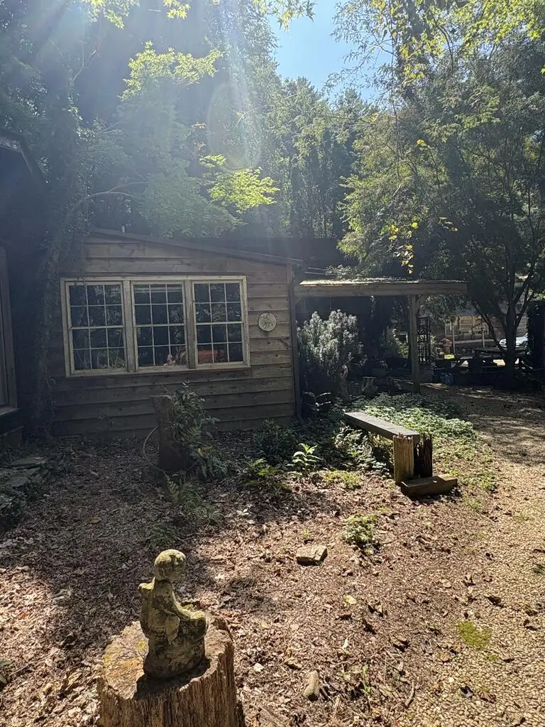 889 Low Gap Road, Hayesville, NC 28904 - #2