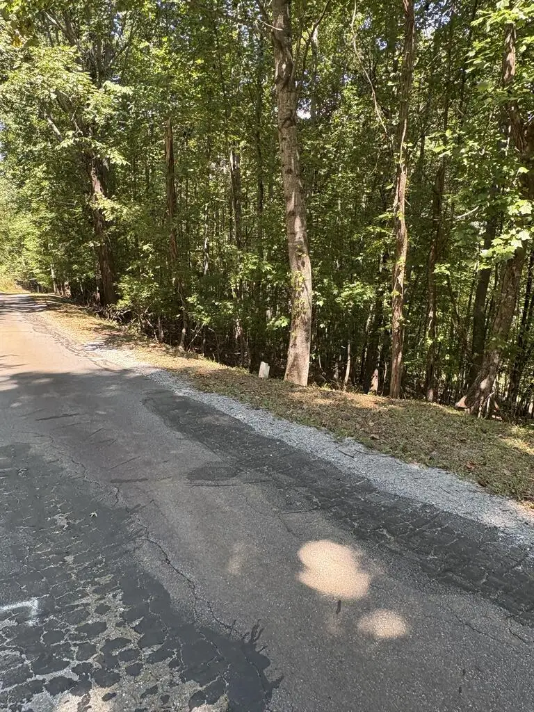 Lot 14 White Oak Drive, Warne, NC 28909 - #3