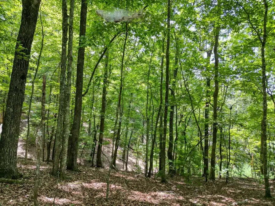 Lot 7 Noontootla Overlook, Blue Ridge, GA 30513 - #2