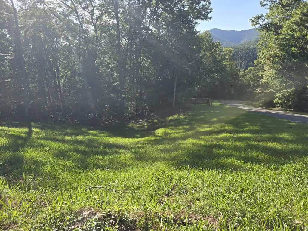 Lot 8 Wolfpen Gap Road, Hiawassee, GA 30546 - #1