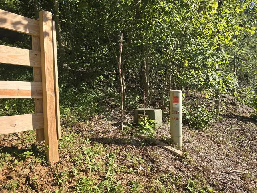 Lot 8 Wolfpen Gap Road, Hiawassee, GA 30546 - #3