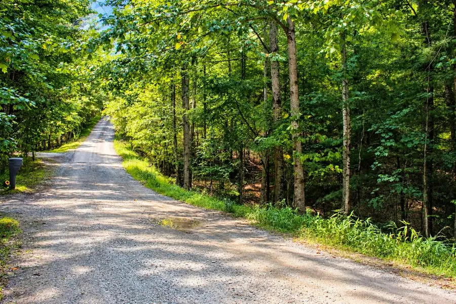 Lot 18 Wilderness Walk, Blairsville, GA 30512 - #2