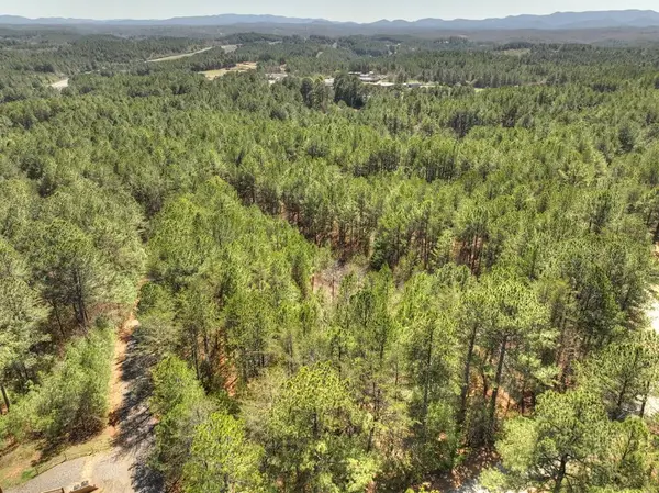 40 & 41 Blue Bird Trail, Copperhill, TN 37317