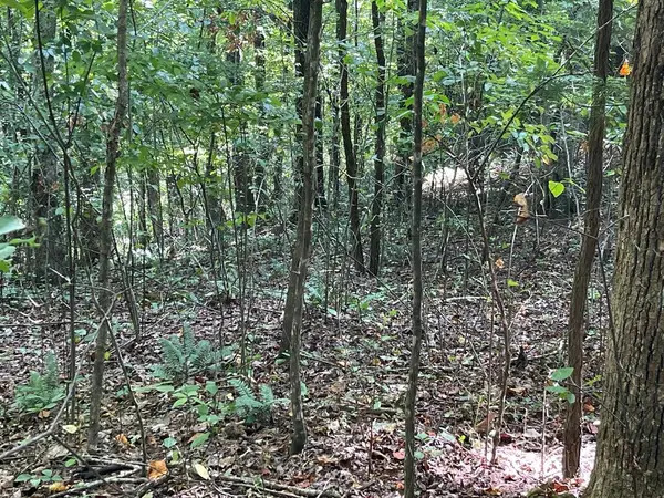 81A-82A Licklog Ridge, Hayesville, NC 28904
