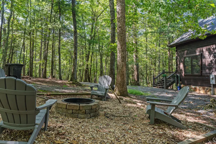 63 Bushy Head Road, Cherry Log, GA 30522 - #2